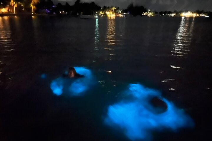 Private: Bioluminescence Tour - Photo 1 of 16